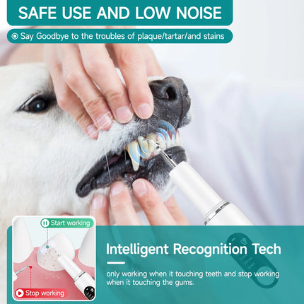 CURVY MOON Pet Use Ultrasonic Tooth Cleaner Dog Cat Dental Scaler for Tartar Removal Teeth Cleaning Tool with Sonic Technolog