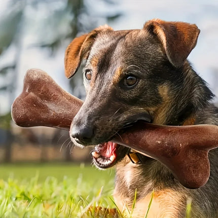 Durable Beef-Flavored Chew Toy for Dogs, Bone-Shaped Interactive Play Toy for Dogs, Teeth Cleaning Training Toy Pet Supplies