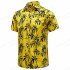 ASF5D231411V / 5XL