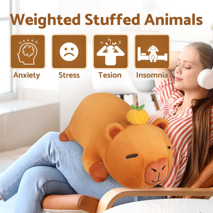 5 lbs Capybara Weighted Stuffed Animals, 24 Inch Large Cute Plush Toy, Plush Toy Pillows for Kids & Adults
