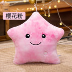 pink 24x22cm