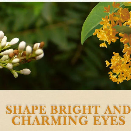 ARTISCARE Gold Osmanthus Eye Mask for Dark Circles Hyaluronic Acid Moisturizing Eye Patches Eye Care