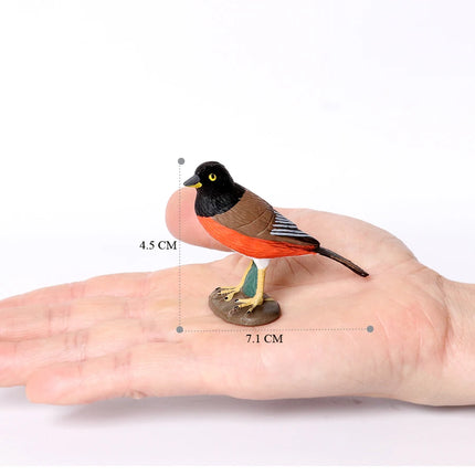 Simulation Bird Animal Kingfisher Robin Magpie Pigeon Hummingbird Model Action Figure Garden Decoration Miniature Figurines Toys