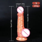 B Foreskin S