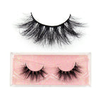 E12 / 1PCS With Hard Box