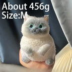 Siamese Cat 456g