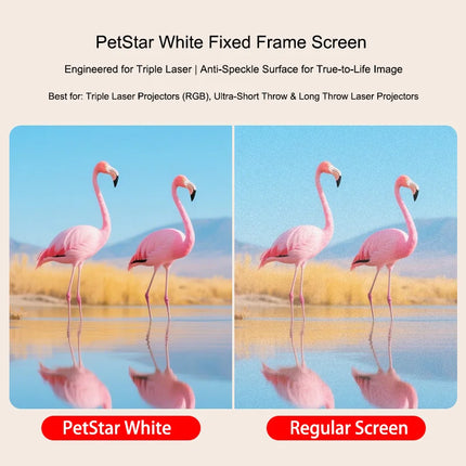 PetStar White Fixed Frame Screen – Engineered for Triple Laser | Anti-Speckle Surface for True-to-Life Image