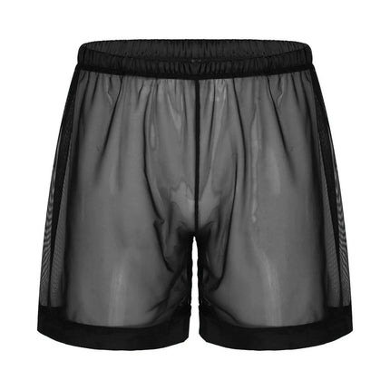 Men's Lingerie Mesh Sheer Loose Fit Boxer Shorts Male Underwear Transparent Underwear Swimming Trunks Summer Thin Beachwear