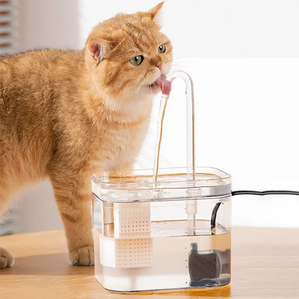 Transparent Cat Drinking Fountain, Automatic Circulating Live Water Basin, Dog Smart Water Fountain, Pet Supplies