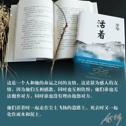 To Live  Yu Hua  Huo Zhe By Yu Hua A Book of Yuhua Chinese Modern Literature Classic Reading Novel Authentic original books