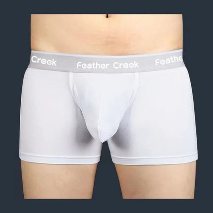 Large Pouch Men's Panties U Convex Front Pocket Flat Foot Triangle Sexy Shorts Fashionable Underwear for Men