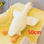 50cm