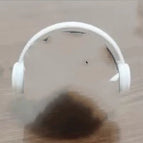 Earphone accessories