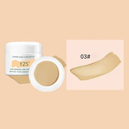 High Coverage Concealer Cover Anti Dark Circle Freckle Long-lasting Waterproof Foundation BB Cream For Face Makeup Base Cosmetic