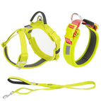 Lemon 3-piece Set / L