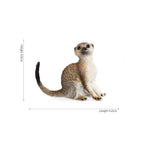Meerkat-5