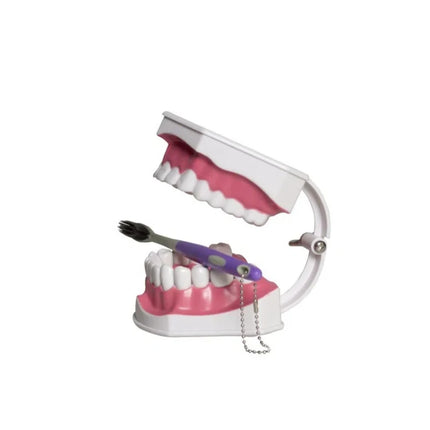 20 Pieces Dental Technician Polishing Large Brush Oral Denture Grinder Bristle Brush Polishing Wheel