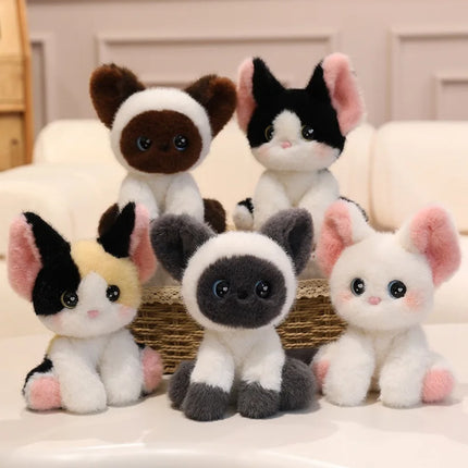 24cm Kawaii Cat Plush Doll Devon Rex Siamese Cat Pet Kitten Plush Toy Cute Decoration Accompany Sleep Toy Birthday Gift