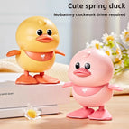 Pink Duck