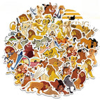 B / 20PCS