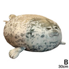 B2 30cm