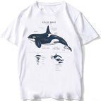 BJ3870-10-white / XXXL