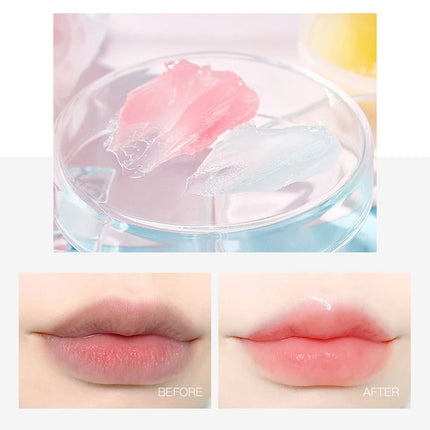 New 4/6/8pcs Moisturizing Lip Balm Sets Lipstick Makeup Natural Plant Base Moisturizer Lip Balm Anti-Cracking Lips Skin Care