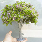 purple green tree