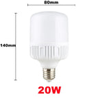 20W / White Light