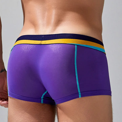 SEOBEAN Men's Sheer Boxer Briefs Nylon Low-Rise Underwear Lightweight Breathable Fashion Stylish Thin See-Through 230215 412114