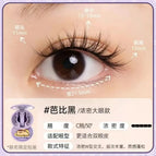 zbbh / China Mainland