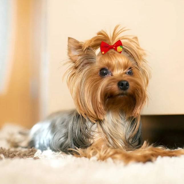 Dog Bow 200PCS Hair Accessories Cute Puppy Bow Handmade Removable Bow With Rubber Band For Dogs and Cats Wholesale Pet Supplies