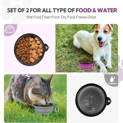 Folding Portable Silicone Dog Feeder Bowl 2 In 1 Pet Dispenser Outdoor Travel Dog Cat with Carabiner Bottle Food Water Container