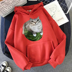 red1091 / XL
