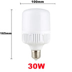 30W / White Light