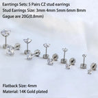 5Pairs CZ Stud Steel