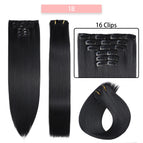 1B / 24inches