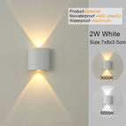2W / Cool White(5500-7000K) / NO waterproof