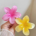 2pcs-5