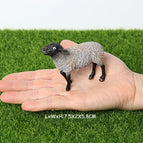 Suffolk sheep
