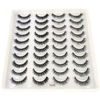 20pairsH112
