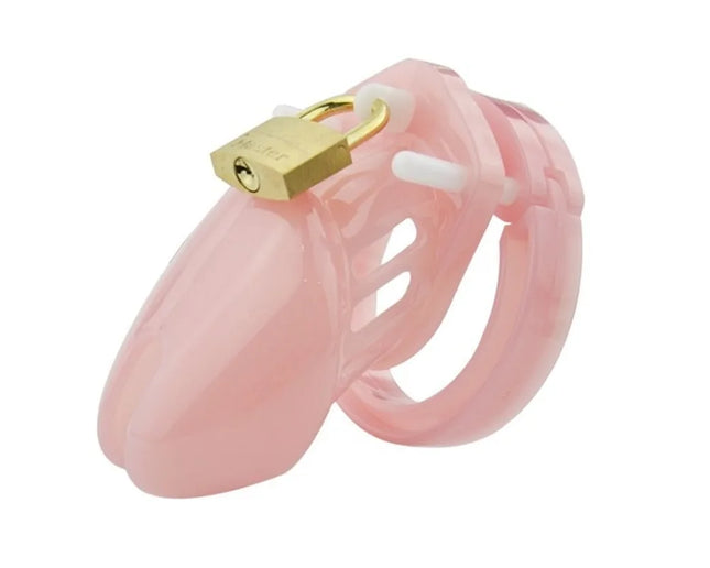 2 Size Male Chastity Cage Device Small/Standard Cock Cage with Rings Erotics Urethral Brass Lock Locking Sex Toys for Men Adults