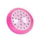 dragon fruit