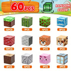 60PCS