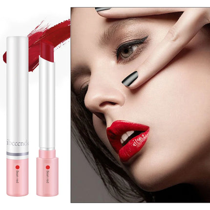 4 pcs/set Cigarette Lipstick Set Long Lasting Lip Glaze Matte Lip Gloss Waterproof Lip Stick Tube Nude Lip Tint Makeup Cosmetics