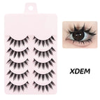 5Pairs-XDEM-337 / C