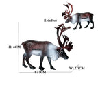 Reindeer C