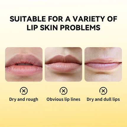 Honey Lip Balm Moisturizing Lip Mask Nourishing Anti-wrinkle Anti-cracking Unisex Lip Care Makeup Lip Lines Exfoliating