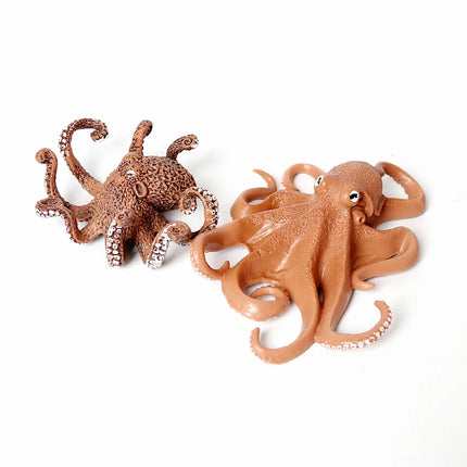 Simulation Marine Mollusc Plastic Model Figures Nautilus Ammonite Squid Octopus Figurine Sealife Animal Educational Toy For Kids