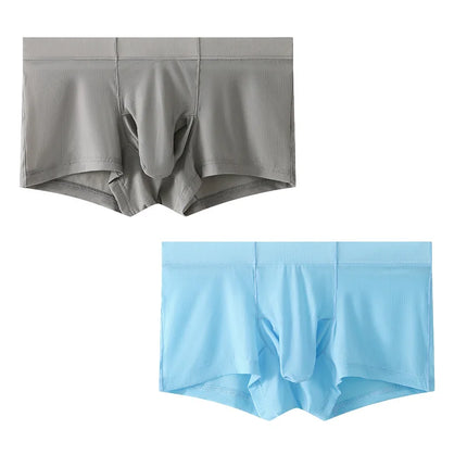 2pcs Solid Color Boxer Shorts Men Seamless Nylon Ice Silk Underwear U Pouch Male Panties Plus Size M-XXL
